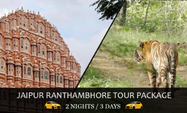 Jaipur Ranthambore Tour Package: 2 Nights/3 Days